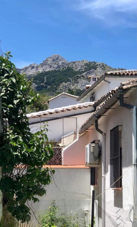Apartamento La Parra Grazalema Dış mekan fotoğraf