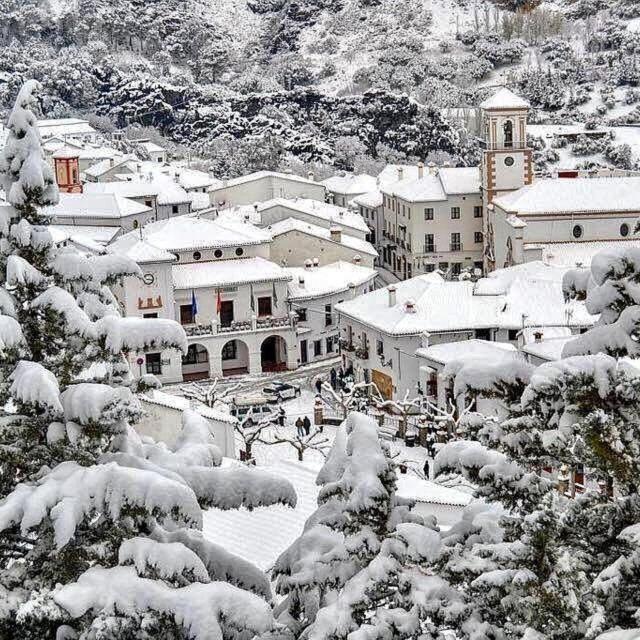 Apartamento La Parra Grazalema Dış mekan fotoğraf