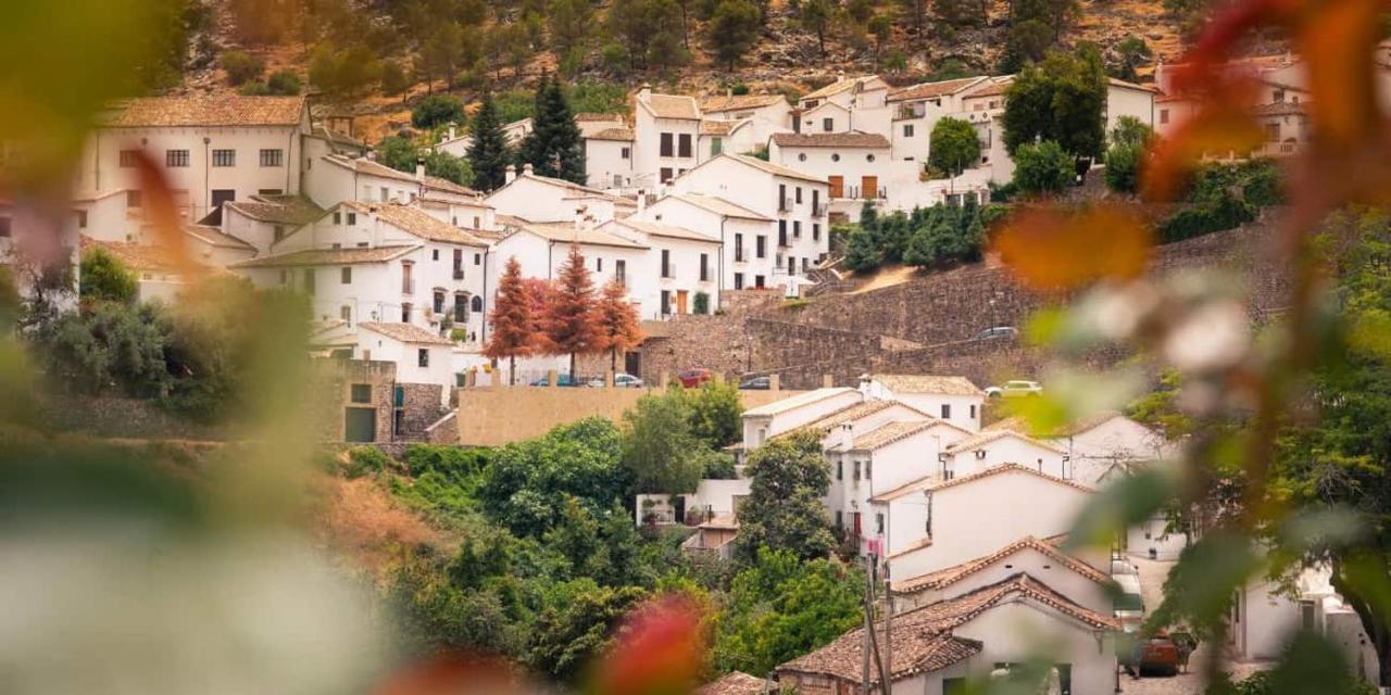 Apartamento La Parra Grazalema Dış mekan fotoğraf